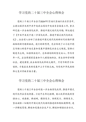 学习2024年党的二十届三中全会心得体会 （10份）_93.docx