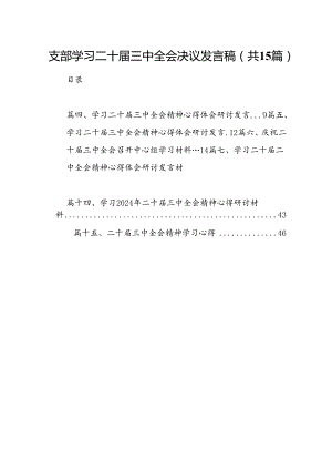 支部学习二十届三中全会决议发言稿（共15篇）.docx