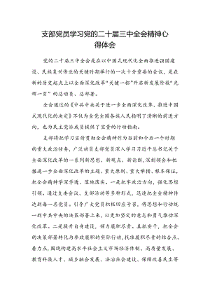 支部党员学习党的二十届三中全会精神心得体会.docx