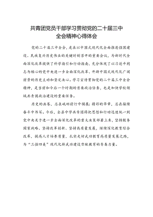 共青团党员干部学习贯彻党的二十届三中全会精神心得体会.docx