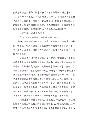 县政府办公室上半年工作总结和下半年工作计划（3822字）.docx