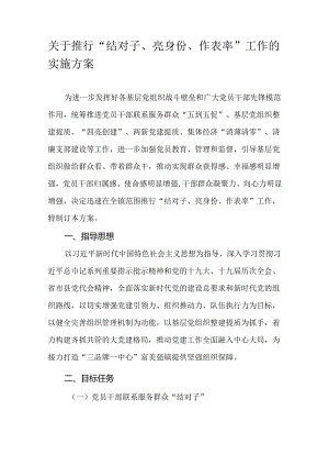 关于推行“结对子、亮身份、作表率”工作的实施方案.docx