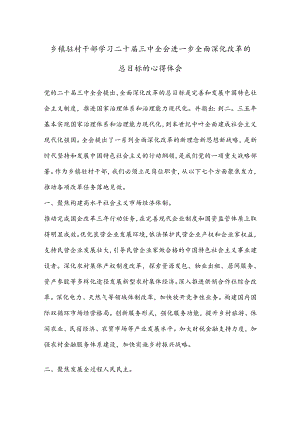 乡镇驻村干部学习二 十届三 中全会进一步全面深化改革的总目标的心得体会.docx
