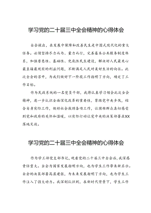 学习党的二十届三中全会心得感悟发言稿31篇.docx