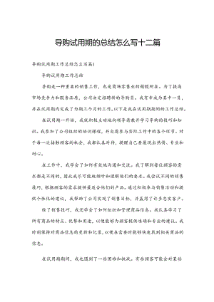 导购试用期的总结怎么写十二篇.docx