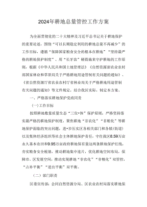 2024年耕地总量管控工作方案.docx