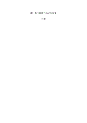煤矸石专题研究结论与展望.docx