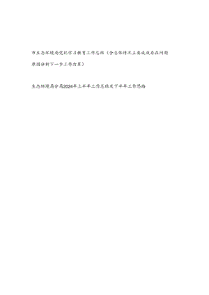 市生态环境局党纪学习教育工作总结（含总体情况主要成效存在问题原因分析下一步工作打算）和生态环境局分局2024年上半年工作总结及下半年工作思路.docx