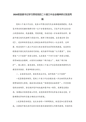 2024某县委书记学习贯彻党的二十届三中全会精神研讨发言两篇.docx
