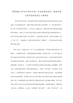 贯彻落实《中共中央关于进一步全面深化改革、推进中国式现代化的决定》心得体会.docx