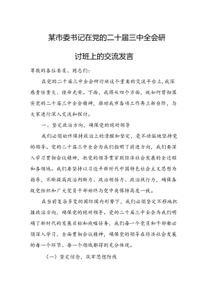 某市委书记在党的二十届三中全会研讨班上的交流发言1.docx
