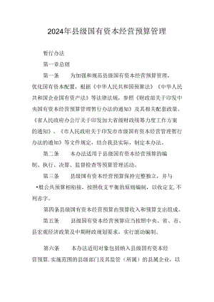 2024年县级国有资本经营预算管理.docx