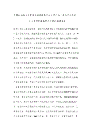 乡镇副镇长(分管农业农村服务中心)学习二 十届三 中全会进一步全面深化改革的总目标的心得体会.docx