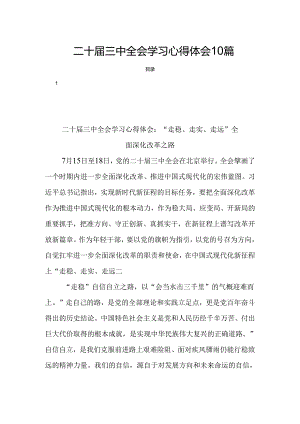 二十届三中全会学习心得体会10篇.docx