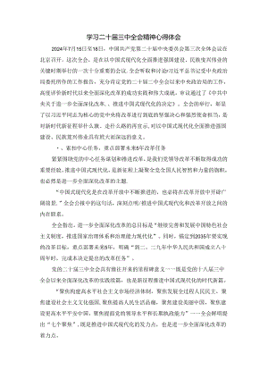2024年学习二十届三中全会心得体会感悟五.docx