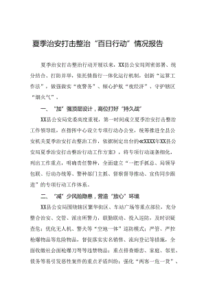 公安推进夏季治安打击整治行动情况汇报11篇.docx