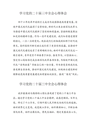 2024年学习党的二十届三中全会个人心得体会 （汇编12份）.docx
