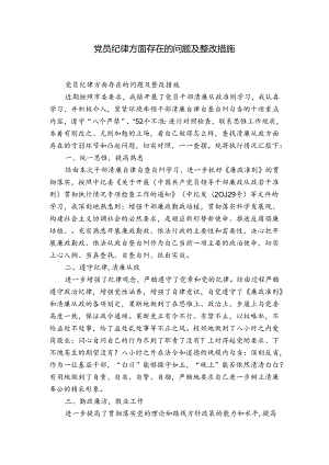 党员纪律方面存在的问题及整改措施.docx