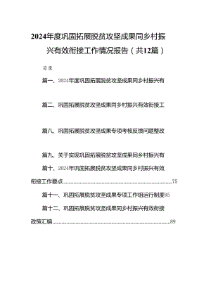 2024年度巩固拓展脱贫攻坚成果同乡村振兴有效衔接工作情况报告（共12篇）.docx