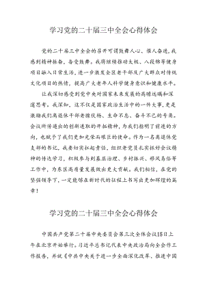 学习2024年党的二十届三中全会心得体会 （11份）_61.docx