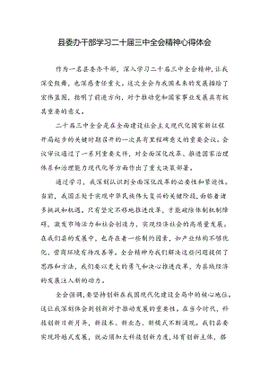 县委办干部学习党的二十届三中全会精神心得体会研讨发言.docx