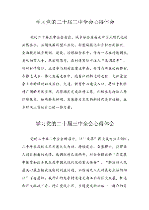 学习2024年党的二十届三中全会心得体会 （11份）_56.docx