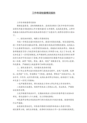 工作专项检查情况报告.docx