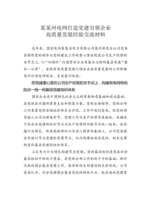 某某州电网打造党建引领企业高质量发展经验交流材料.docx