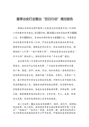 十八篇公安2024夏季治安打击整治“百日行动”总结报告.docx