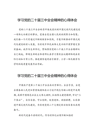 学习二十届三中全会心得感悟发言材料(二十三篇).docx
