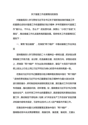 关于督查工作进展情况的报告总结.docx