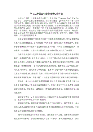 2024年学习二十届三中全会心得感悟三.docx