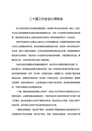 二十届三中全会心得体会 .docx