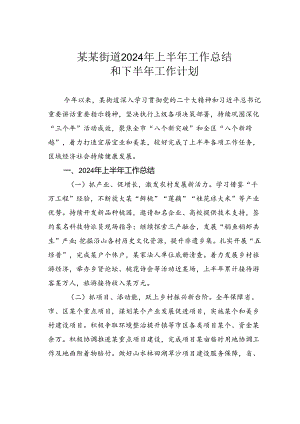 某某街道2024年上半年工作总结和下半年工作计划.docx