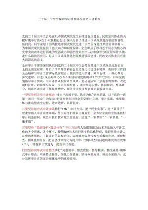 二十届三中全会精神 学习贯彻落实意见审计系统.docx