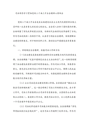 司法系统领导干部学习贯彻党的二十届三中全会精神心得体会研讨发言.docx