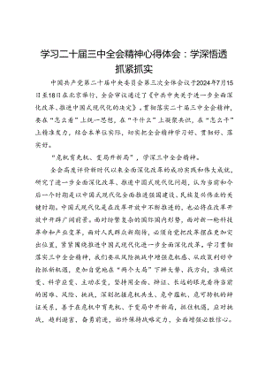 学习二十届三中全会精神心得体会：学深悟透 抓紧抓实.docx