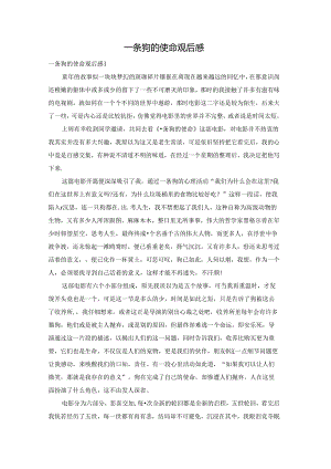 一条狗的使命观后感.docx