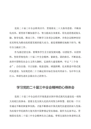学习习领会党的二十届三中全会精神心得体会二十篇.docx