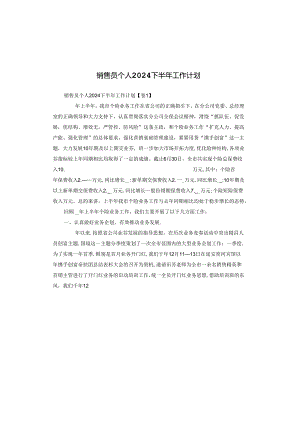 销售员个人2024下半年工作计划.docx