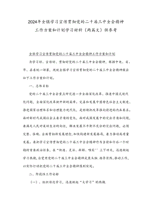 2024年全镇学习宣传贯彻党的二十届三中全会精神工作方案和计划学习材料（两篇文）供参考.docx