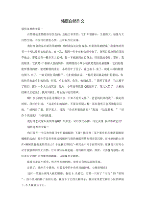 感悟自然作文.docx