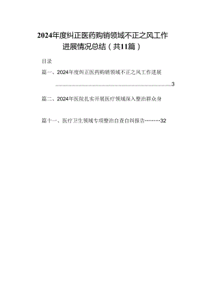 （11篇）2024年度纠正医药购销领域不正之风工作进展情况总结（精选）.docx