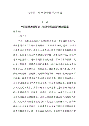二十届三中全会专题学习党课9篇.docx