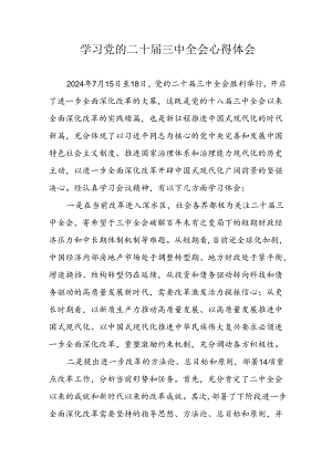 学习2024年党的二十届三中全会个人心得体会 汇编12份.docx