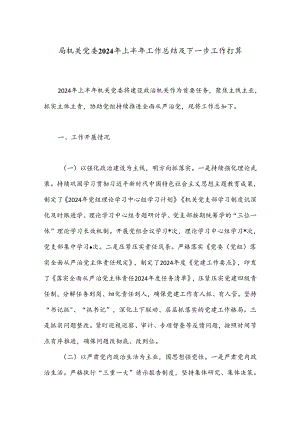 局机关党委2024年上半年工作总结及下一步工作打算.docx