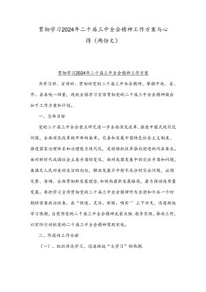 贯彻学习2024年二十届三中全会精神工作方案与心得（两份文）.docx