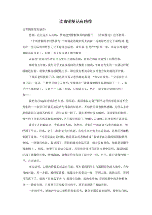 读青铜葵花有感荐.docx