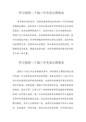 学习2024年党的二十届三中全会心得体会 （13份）_92.docx