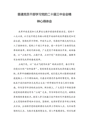普通党员干部学习X的二十届三中全会精神心得体会.docx